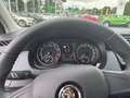Skoda Fabia Cool Plus 1.0 Isofix - DAB - Garantie - Tagfahrlic Rot - thumbnail 12