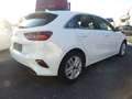 Kia Ceed / cee'd Vision Weiß - thumbnail 3