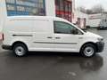 Volkswagen Caddy 2.0 TDI DSG  Maxi Kasten BMT Weiß - thumbnail 4