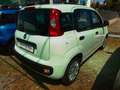 Fiat Panda Easy 1.2 Benz 70cv Bianco - thumbnail 2