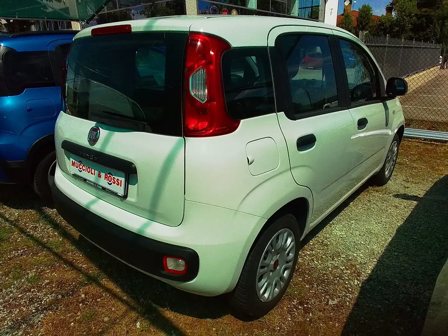 Fiat Panda Easy 1.2 Benz 70cv Bianco - 2