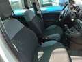 Fiat Panda Easy 1.2 Benz 70cv Bianco - thumbnail 8