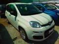 Fiat Panda Easy 1.2 Benz 70cv Bianco - thumbnail 1