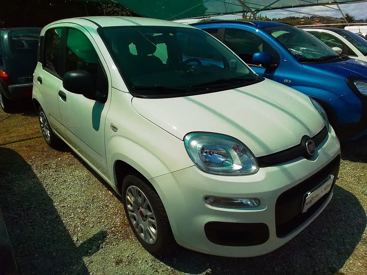 Fiat Panda Easy 1.2 Benz 70cv Bianco - 1