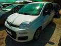 Fiat Panda Easy 1.2 Benz 70cv Bianco - thumbnail 4