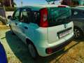 Fiat Panda Easy 1.2 Benz 70cv Bianco - thumbnail 3