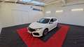 Honda Civic 1.0 I-VTEC 129 ELEGANCE CVT Blanc - thumbnail 1