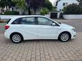 Mercedes-Benz B 180 BLUE EFFICIENCY Weiß - thumbnail 12