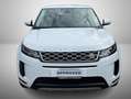 Land Rover Range Rover Evoque Range rover Evoque II 2.0 163cv MHEV awd SE auto Weiß - thumbnail 7