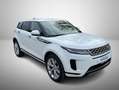 Land Rover Range Rover Evoque Range rover Evoque II 2.0 163cv MHEV awd SE auto Weiß - thumbnail 10