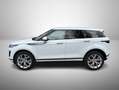 Land Rover Range Rover Evoque Range rover Evoque II 2.0 163cv MHEV awd SE auto Weiß - thumbnail 6