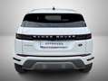 Land Rover Range Rover Evoque Range rover Evoque II 2.0 163cv MHEV awd SE auto Weiß - thumbnail 8