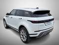 Land Rover Range Rover Evoque Range rover Evoque II 2.0 163cv MHEV awd SE auto Weiß - thumbnail 12