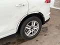 Porsche Cayenne S ACC CarPlay Sitzheizung LED UNFALL Weiß - thumbnail 25
