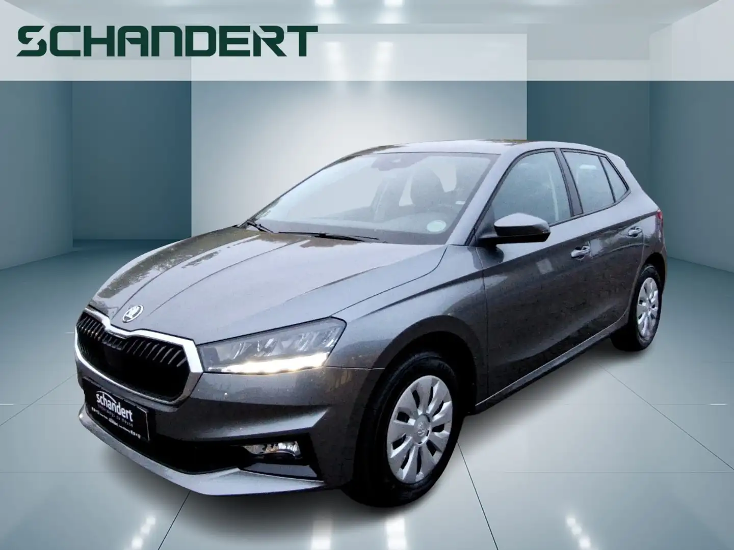 Skoda Fabia 1.0 MPI Selection LED Sitzhzg. Klimaautomatik Grau - 1