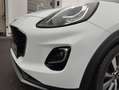 Ford Puma Titanium X Weiß - thumbnail 8