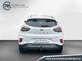 Ford Puma Titanium X Weiß - thumbnail 6