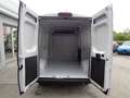 Fiat Ducato Ducato Kasten L3 H2 35 140 NUTZLAST 1420kg Alb - thumbnail 13