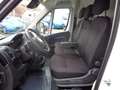 Fiat Ducato Ducato Kasten L3 H2 35 140 NUTZLAST 1420kg Alb - thumbnail 7