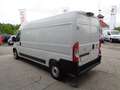 Fiat Ducato Ducato Kasten L3 H2 35 140 NUTZLAST 1420kg Alb - thumbnail 5