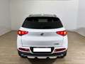 DR Automobiles DR F35 dr F35 1.5 Turbo DCT Bi-Fuel GPL Blanc - thumbnail 5