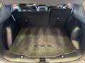 Ford Kuga 2.5 Duratec FHEV ST-Line 4x2 Aut. Gris - thumbnail 25