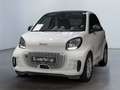 smart forTwo EQ  22KW SHZ Weiß - thumbnail 2