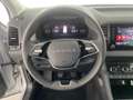 Skoda Karoq Selection TDI Zilver - thumbnail 13