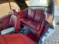BMW 320 320i Cabrio  A.S.I. STORICA Wit - thumbnail 13