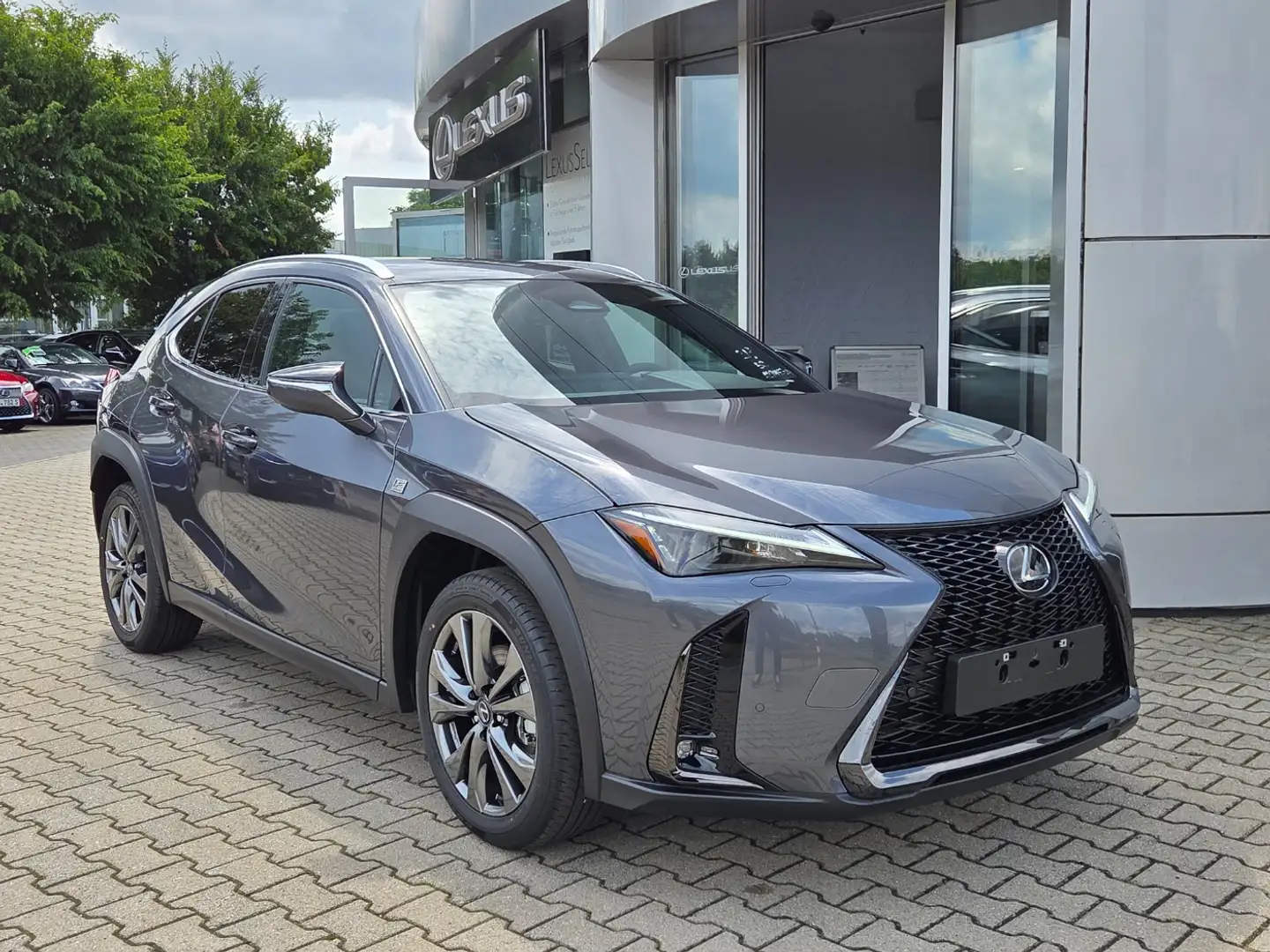 Lexus UX 300e UX 300h F Sport Design Grigio - 1