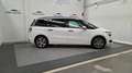 Citroen C4 BlueHDi 120cv Intensive Plus Bianco - thumbnail 3