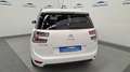 Citroen C4 BlueHDi 120cv Intensive Plus Bianco - thumbnail 6