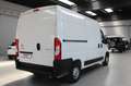Citroen Jumper 33 BlueHDi 120 S&S PM-TM Furgone-E6D-TEMP Blanc - thumbnail 5