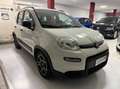Fiat Panda 1.0 firefly hybrid City Life s&s 70cv 5p.ti Weiß - thumbnail 3