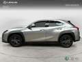 Lexus UX 200 SUV BUSINESS 2.0 Híbrido Gasolina Transmisión Au Gris - thumbnail 3