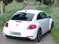 Volkswagen Maggiolino Maggiolino 2.0 tdi Sport 140cv dsg Fender Edition Bianco - thumbnail 2
