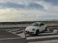 Volkswagen Maggiolino Maggiolino 2.0 tdi Sport 140cv dsg Fender Edition Bianco - thumbnail 4