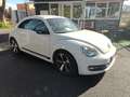 Volkswagen Maggiolino Maggiolino 2.0 tdi Sport 140cv dsg Fender Edition Bianco - thumbnail 5