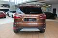 Ford EcoSport Titanium+Navi+Autom.+Kamera+SHZ+EFH+ Grau - thumbnail 5