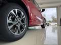 Ford Kuga 2.5 Full Hybrid 190 CVT 2WD ST-Line Rojo - thumbnail 5