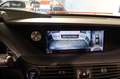 Lexus LS 500 500h Executive 359cv AWD Beżowy - thumbnail 12