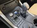 Lexus NX 300 300h Executive 4WD Tecno + Navibox Gris - thumbnail 11