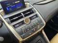 Lexus NX 300 300h Executive 4WD Tecno + Navibox Gris - thumbnail 12