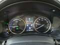 Lexus NX 300 300h Executive 4WD Tecno + Navibox Gris - thumbnail 15