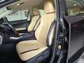 Lexus NX 300 300h Executive 4WD Tecno + Navibox Gris - thumbnail 8