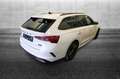 Skoda Octavia 2.0 TDI EVO SCR 200 CV DSG Wagon RS Bianco - thumbnail 3