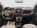 Fiat Panda 1.0 FireFly S&S Hybrid City Cross*FORMULA S* Blanc - thumbnail 11