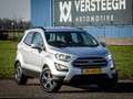 Ford EcoSport 1.0 EcoBoost Trend Ultimate | Trekhaak | Dealerond Argent - thumbnail 9