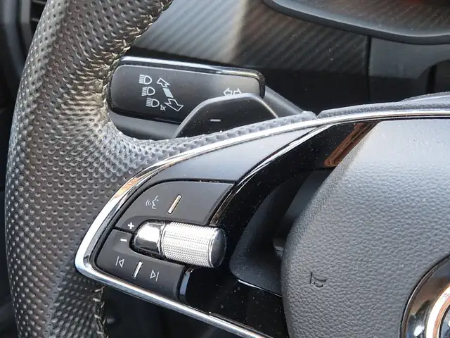 Skoda Kodiaq view 11