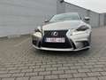 Lexus IS 300 300h F Sport - thumbnail 8